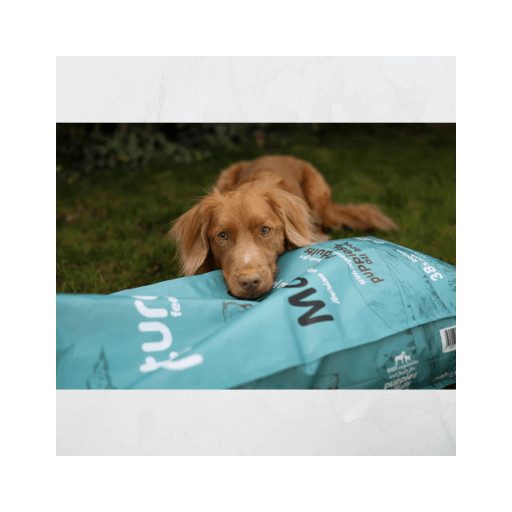 Naturea Naturals MAGNUM Ibériai Sertés Száraztáp kölyök és felnőtt felnőtt kutyáknak 12 kg