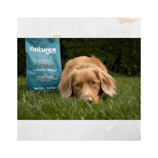 Naturea Naturals ACQUA Deep Ocean Tuna - Tonhalas Száraztáp kölyök és felnőtt kutyáknak 12 kg