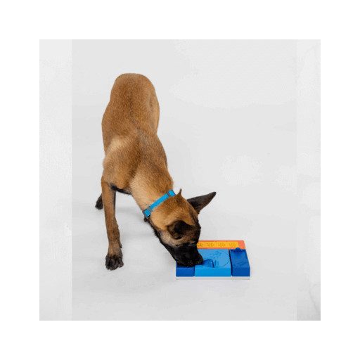 Pawzler - Logikai játék - Beginner szett - Mini