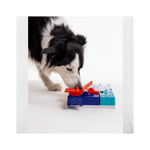 Pawzler – Logikai játék – Genius szett – Mini