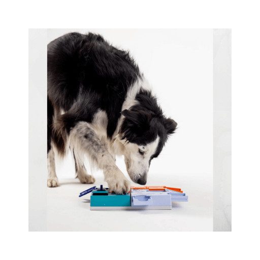 Pawzler – Logikai játék – Genius szett – Mini