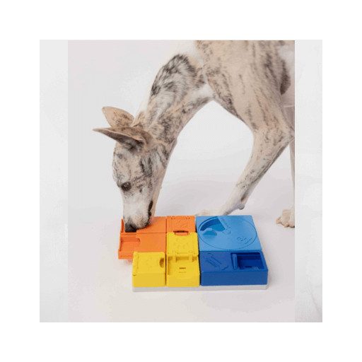 Pawzler - Logikai játék - Rainbow szett - Mini