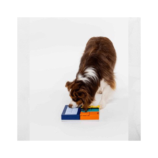 Pawzler - Logikai játék - Smarty szett - Mini