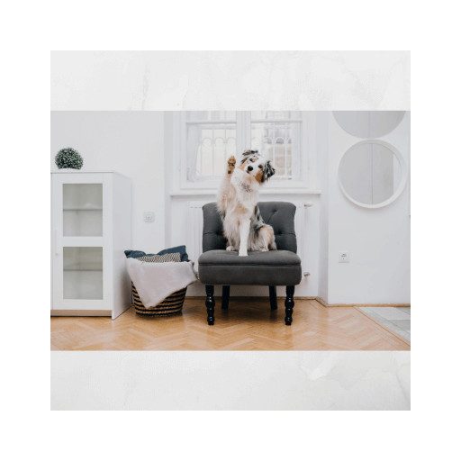 TICKLESS® Home – vegyszermentes ultrahangos kullancs-, bolha- és poratka riasztó készülék 2 színváltozatban (bézs és szürke)