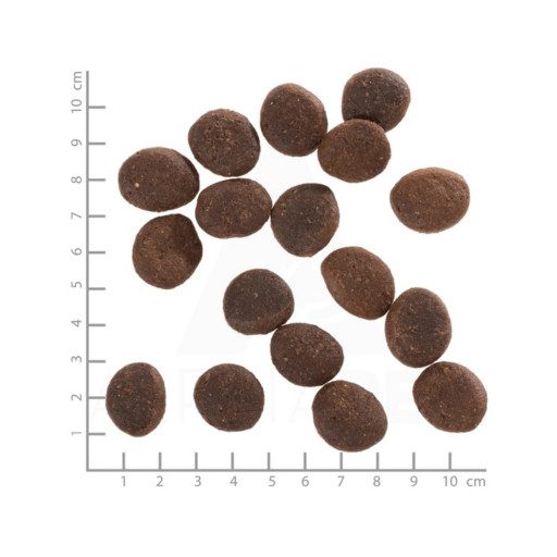 Wolfsblut Polar Night Adult Rénszarvas Sütőtökkel száraz kutyatáp 12,5 kg