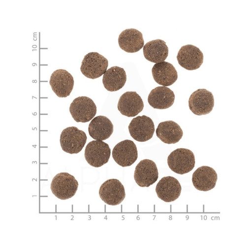 Wolfsblut VetLine Hypoallergenic Lóhús száraz kutyatáp 12 kg